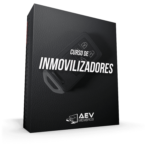 Curso de Inmovilizadores